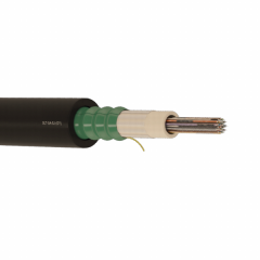 Fibră optică cu armătură 12 fire